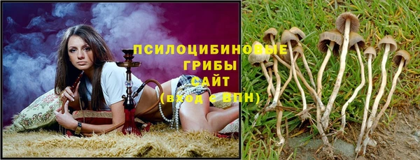 соль ск Абинск