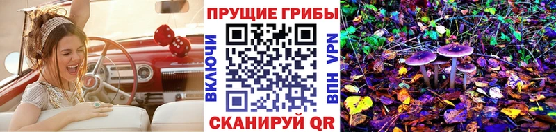 цена   Югорск  Галлюциногенные грибы прущие грибы 